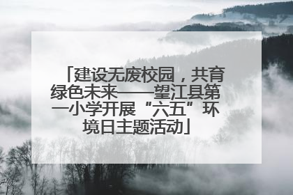 建设无废校园，共育绿色未来——望江县第一小学开展“六五”环境日主题活动