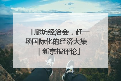 廊坊经洽会，赶一场国际化的经济大集｜新京报评论