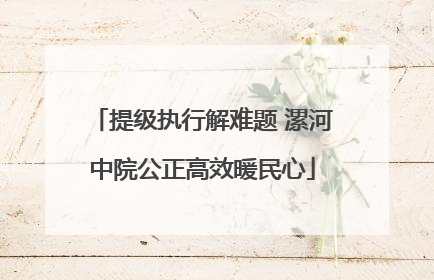 提级执行解难题 漯河中院公正高效暖民心