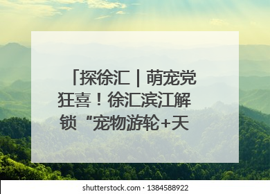 探徐汇｜萌宠党狂喜！徐汇滨江解锁“宠物游轮+天台乐园”双玩法