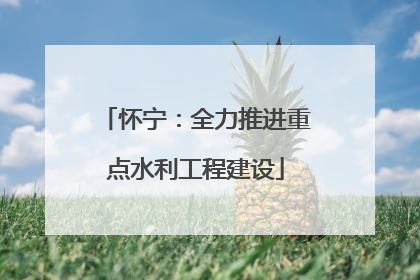 怀宁：全力推进重点水利工程建设