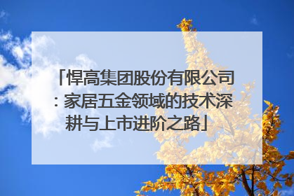 悍高集团股份有限公司：家居五金领域的技术深耕与上市进阶之路