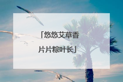 悠悠艾草香 片片粽叶长