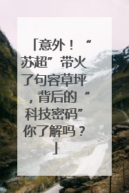 意外！“苏超”带火了句容草坪，背后的“科技密码”你了解吗？