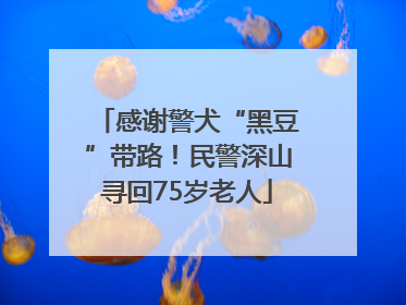 感谢警犬“黑豆”带路！民警深山寻回75岁老人