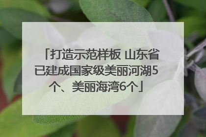 打造示范样板 山东省已建成国家级美丽河湖5个、美丽海湾6个