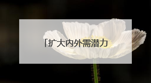 扩大内外需潜力 促进商文旅融合 港城天津构建“大消费”强磁场