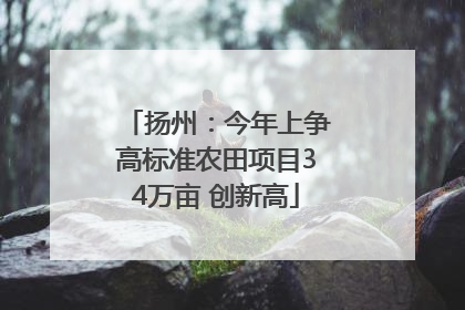 扬州：今年上争高标准农田项目34万亩 创新高