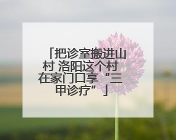把诊室搬进山村 洛阳这个村在家门口享“三甲诊疗”