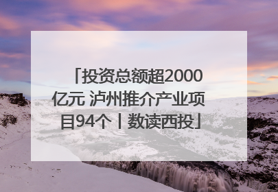 投资总额超2000亿元 泸州推介产业项目94个丨数读西投