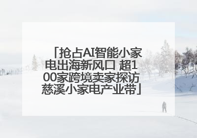 抢占AI智能小家电出海新风口 超100家跨境卖家探访慈溪小家电产业带