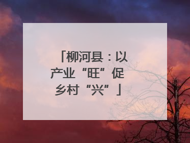 柳河县：以产业“旺”促乡村“兴”