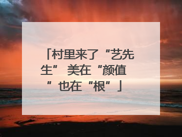 村里来了“艺先生” 美在“颜值”也在“根”