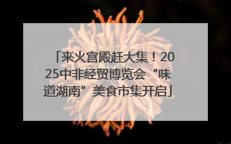 来火宫殿赶大集！2025中非经贸博览会“味道湖南”美食市集开启