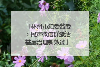 林州市纪委监委：民声微信群激活基层治理新效能