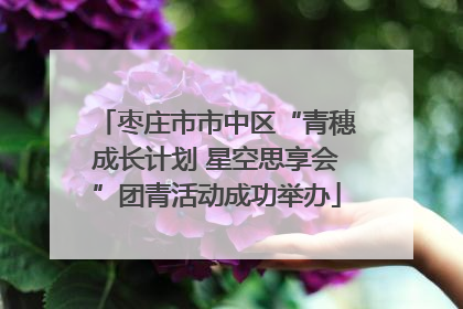 枣庄市市中区“青穗成长计划 星空思享会”团青活动成功举办