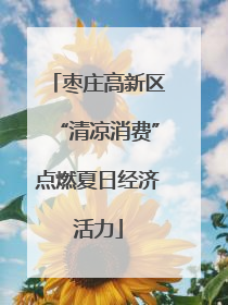 枣庄高新区“清凉消费”点燃夏日经济活力