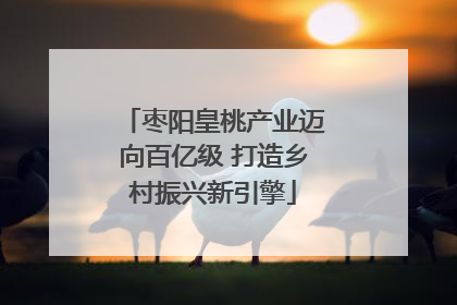 枣阳皇桃产业迈向百亿级 打造乡村振兴新引擎