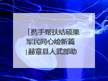 携手帮扶结硕果 军民同心绘新篇∣赫章县人武部助力大凉山村阔步乡村振兴路