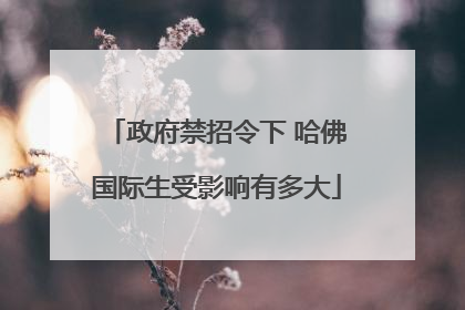 政府禁招令下 哈佛国际生受影响有多大