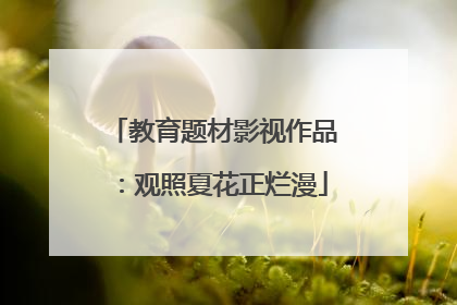 教育题材影视作品：观照夏花正烂漫