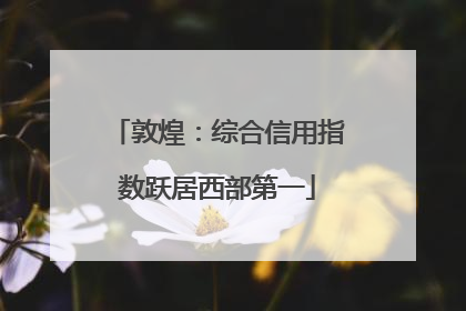 敦煌：综合信用指数跃居西部第一