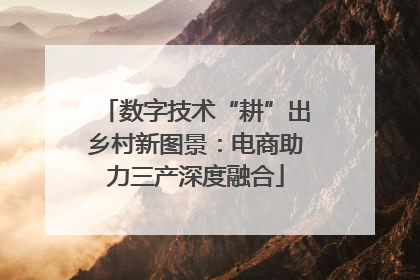 数字技术“耕”出乡村新图景：电商助力三产深度融合
