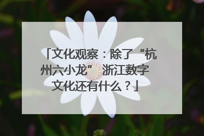 文化观察：除了“杭州六小龙” 浙江数字文化还有什么？
