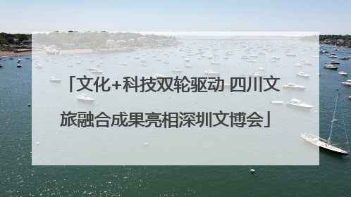 文化+科技双轮驱动 四川文旅融合成果亮相深圳文博会