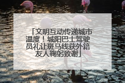 文明互动传递城市温度！城阳巴士驾驶员礼让斑马线获外籍友人鞠躬致谢
