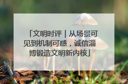 文明时评｜从场景可见到机制可感，诚信淄博锻造文明新内核
