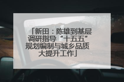新田：陈雄到基层调研指导“十五五”规划编制与城乡品质大提升工作