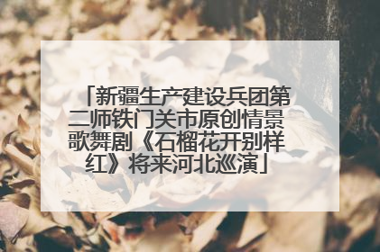 新疆生产建设兵团第二师铁门关市原创情景歌舞剧《石榴花开别样红》将来河北巡演