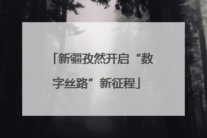 新疆孜然开启“数字丝路”新征程