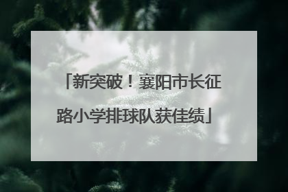 新突破！襄阳市长征路小学排球队获佳绩