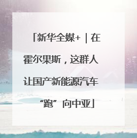 新华全媒+｜在霍尔果斯，这群人让国产新能源汽车“跑”向中亚