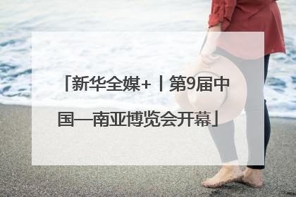 新华全媒+丨第9届中国—南亚博览会开幕