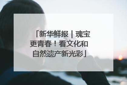 新华鲜报｜瑰宝更青春！看文化和自然遗产新光彩