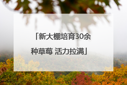 新大棚培育30余种草莓 活力拉满