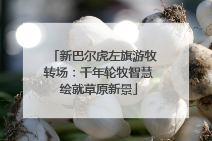 新巴尔虎左旗游牧转场：千年轮牧智慧绘就草原新景