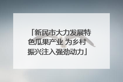 新民市大力发展特色瓜果产业 为乡村振兴注入强劲动力