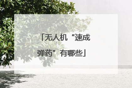 无人机“速成弹药”有哪些