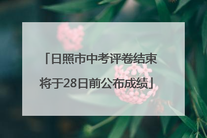 日照市中考评卷结束 将于28日前公布成绩