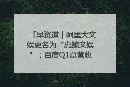 早资道｜阿里大文娱更名为“虎鲸文娱”；百度Q1总营收325亿元超预期
