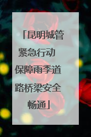 昆明城管紧急行动 保障雨季道路桥梁安全畅通