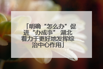 明确“怎么办”促进“办成事” 湖北着力于更好地发挥综治中心作用
