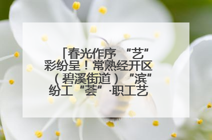春光作序 “艺”彩纷呈！常熟经开区（碧溪街道）“滨”纷工“荟”·职工艺课堂点亮春日时光