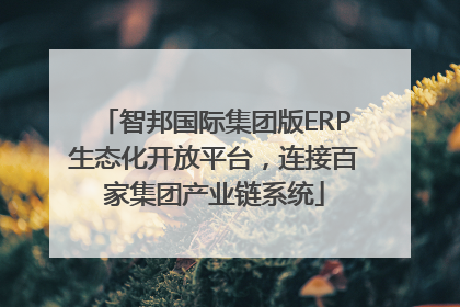 智邦国际集团版ERP生态化开放平台，连接百家集团产业链系统