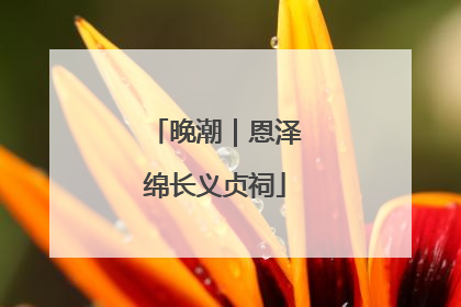 晚潮｜恩泽绵长义贞祠