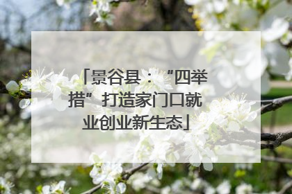 景谷县：“四举措”打造家门口就业创业新生态